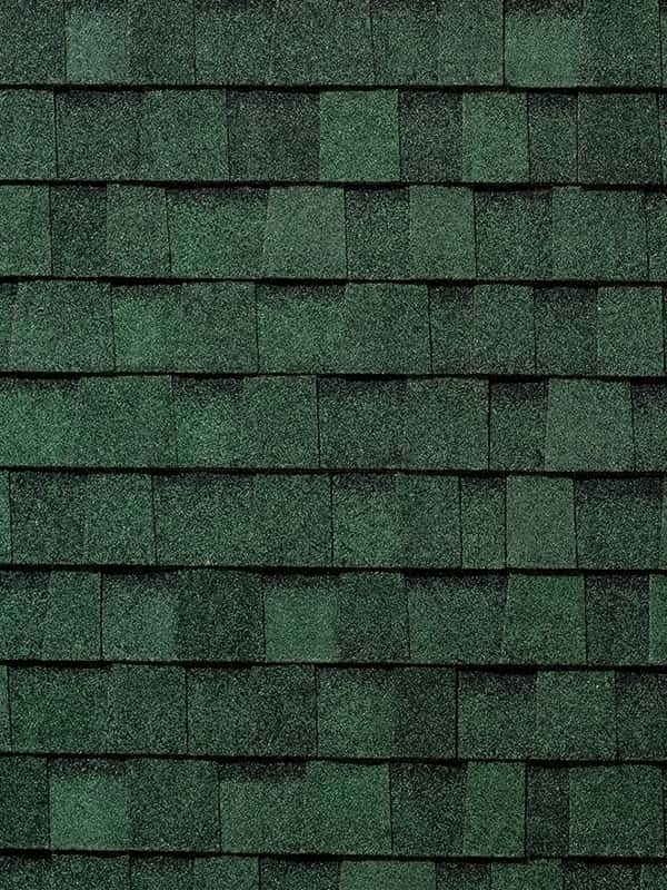 Heritage Series - Rustic Evergreen (Joplin) color swatch