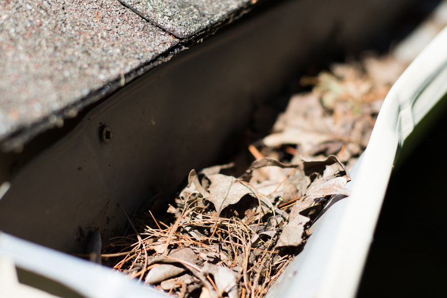 spring---leaves-in-gutter