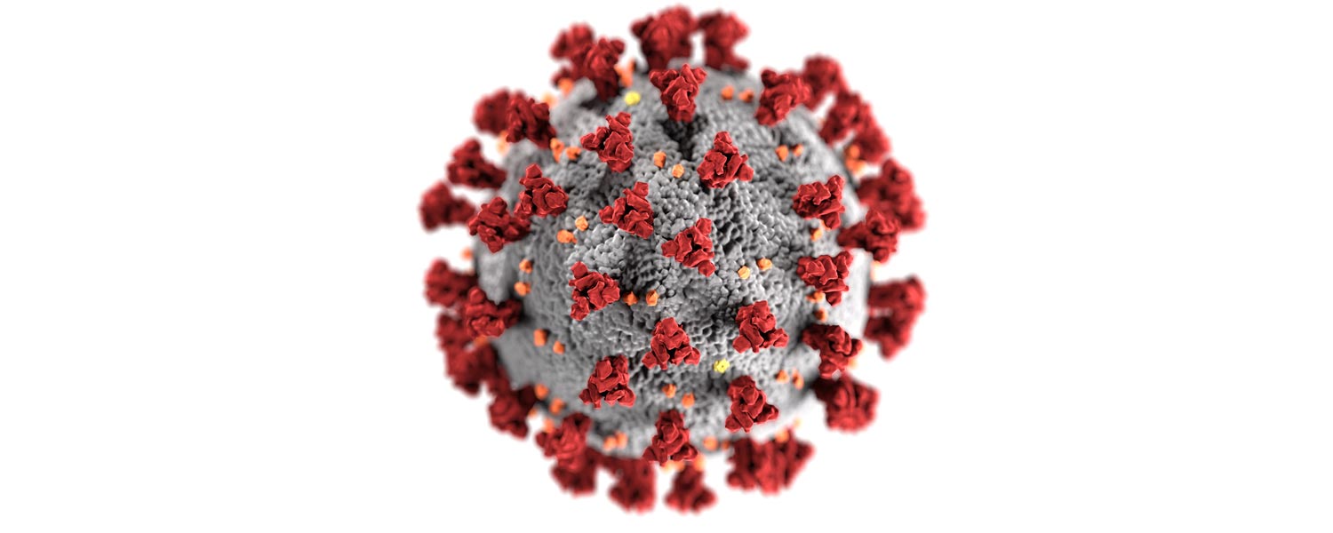 COVID virus