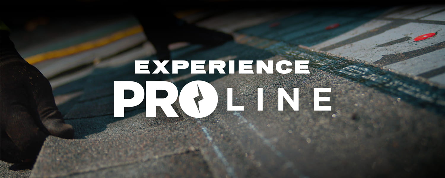 Experience Proline