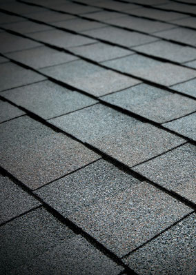 TAMKO Titan XT Olde English Pewter sample