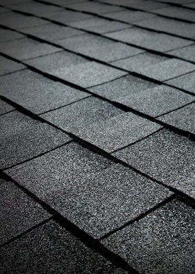TAMKO Titan XT Antique Slate sample