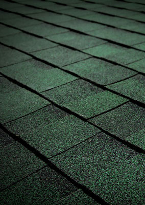 TAMKO Titan XT Rustic Evergreen sample