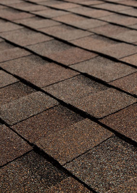 TAMKO Titan XT Rustic Slate sample